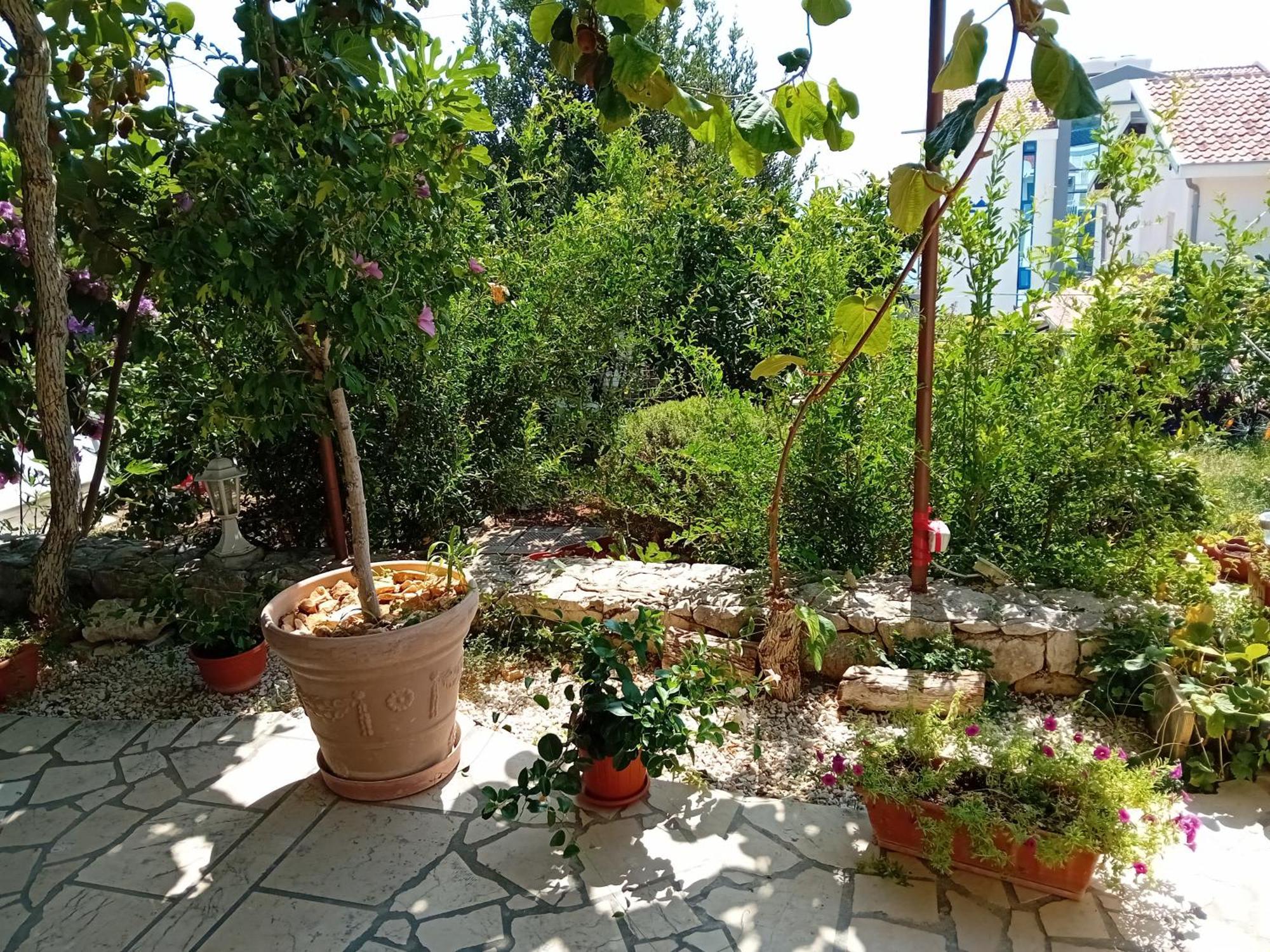 Spajic Apartments Seget Vranjica Εξωτερικό φωτογραφία