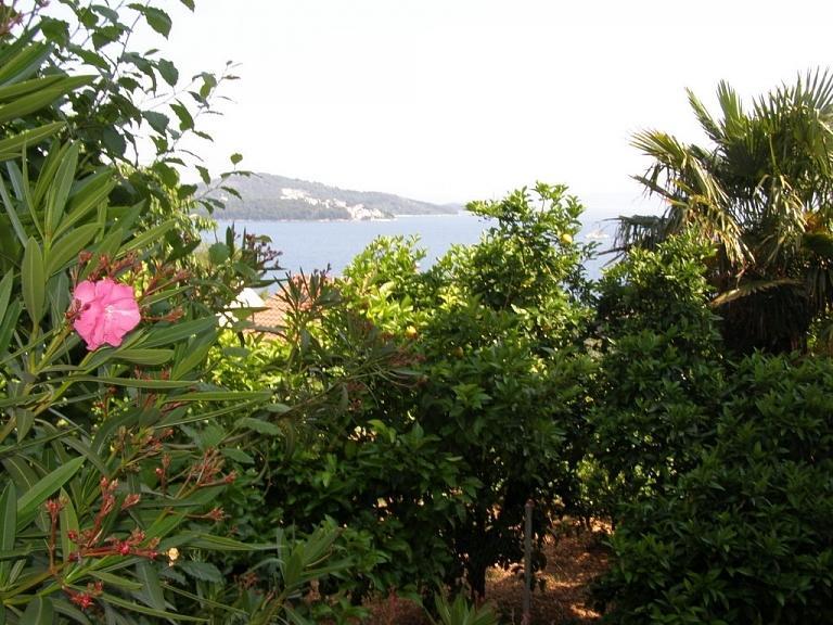 Spajic Apartments Seget Vranjica Δωμάτιο φωτογραφία